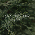 Cypress Shadow Water
