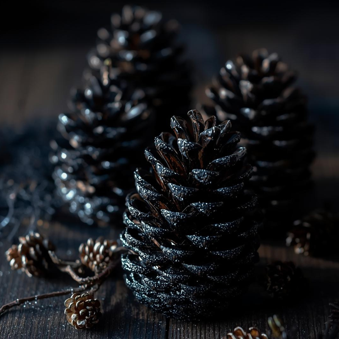 Pine Cone Fire Starters